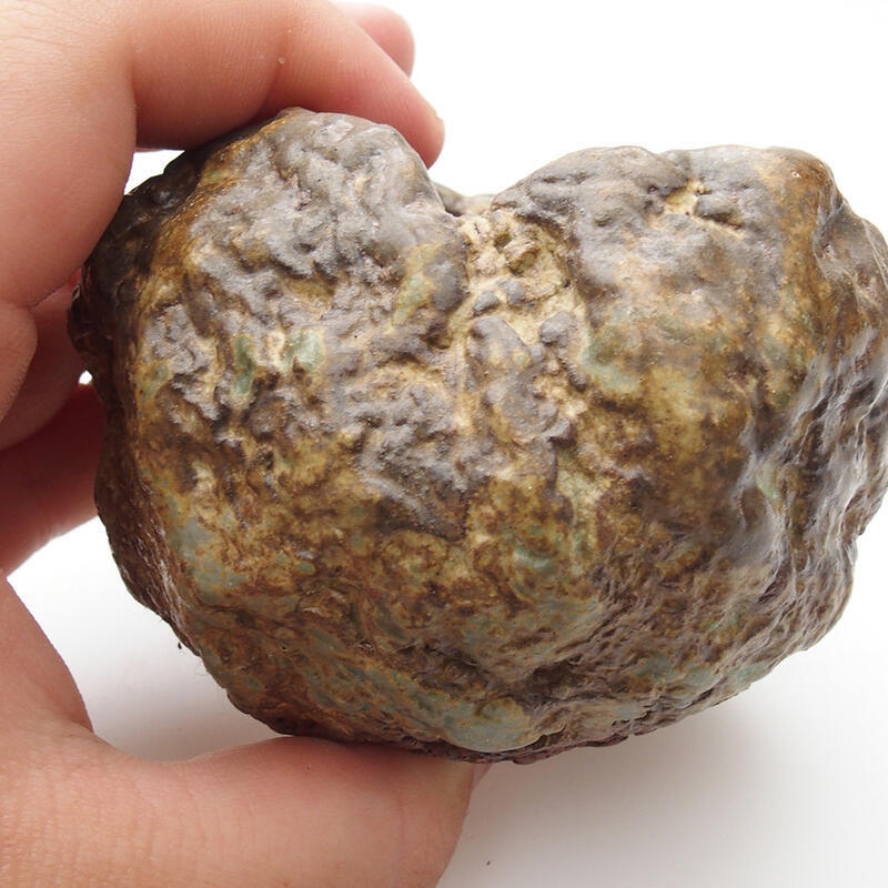 Conchiglia in ceramica 6 x 5 x 6 cm , colore verde-marrone