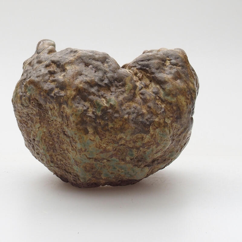 Conchiglia in ceramica 6 x 5 x 6 cm , colore verde-marrone