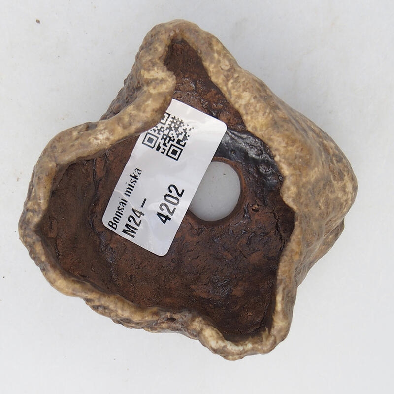 Conchiglia in ceramica 6 x 6 x 4,5 cm , colore beige