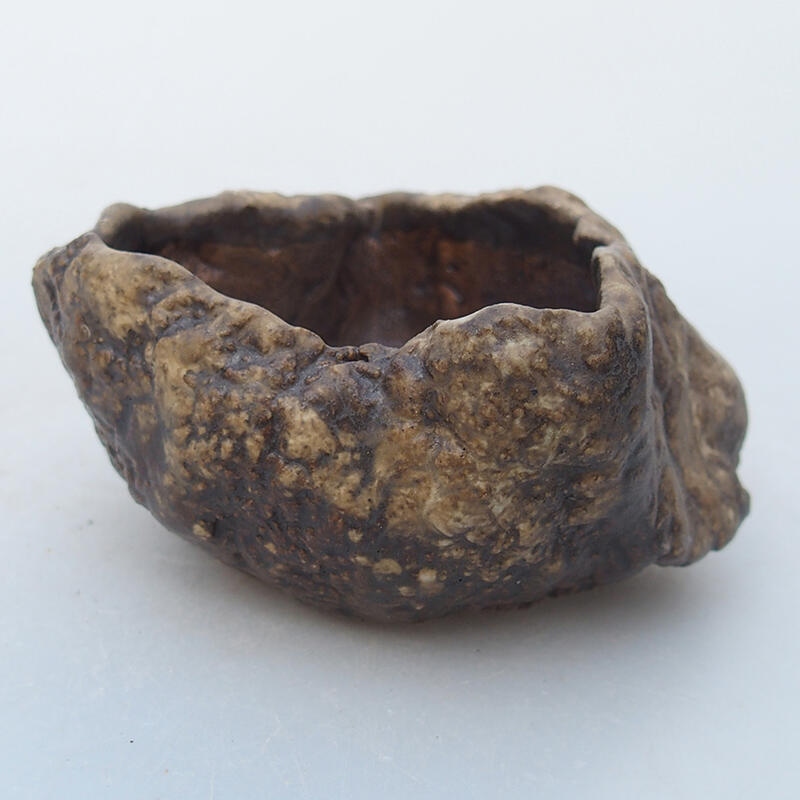 Conchiglia in ceramica 6 x 6 x 4,5 cm , colore beige