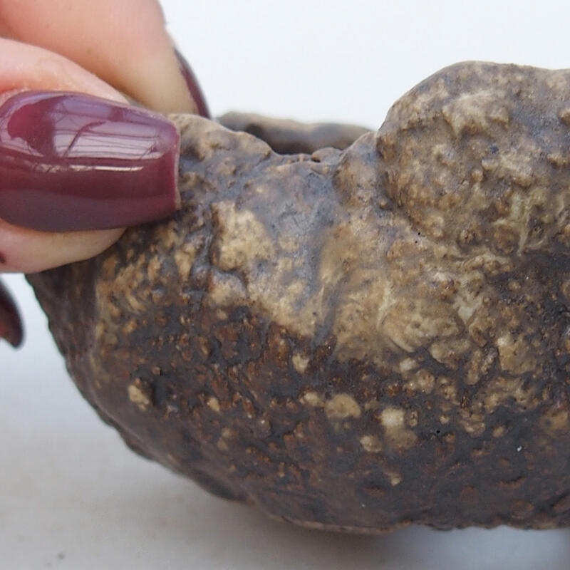 Conchiglia in ceramica 6 x 6 x 4,5 cm , colore beige