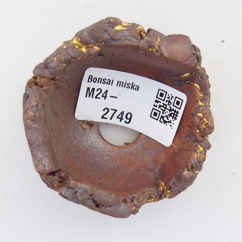 Conchiglia in ceramica 6 x 6 x 4 cm , giallo