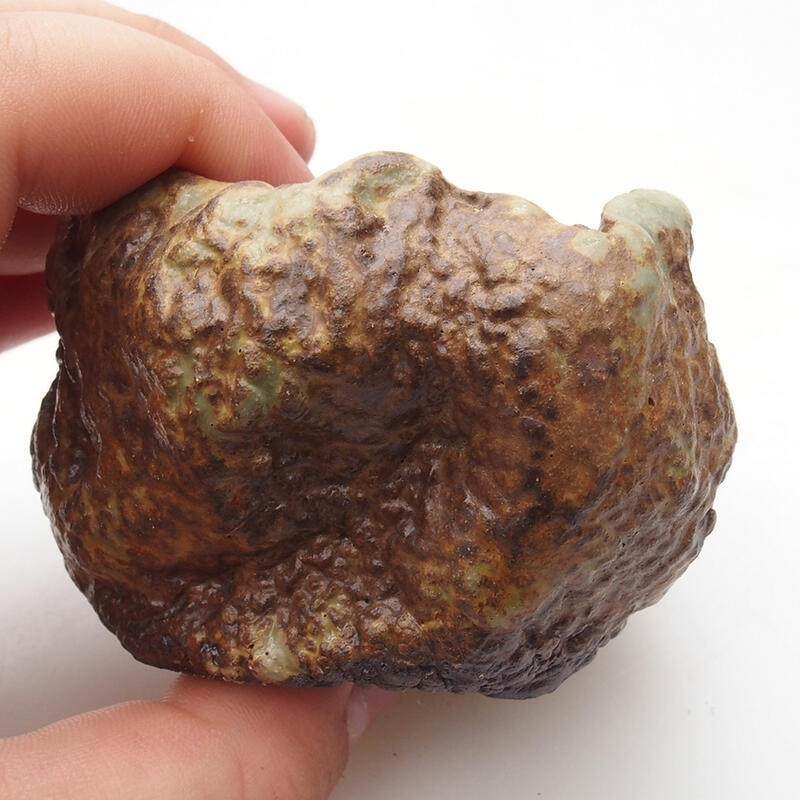 Conchiglia in ceramica 6 x 6 x 5 cm , colore verde-marrone