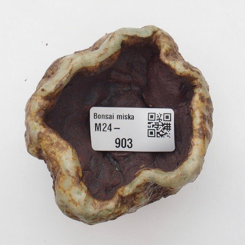 Conchiglia in ceramica 6 x 6 x 5 cm , colore verde-marrone