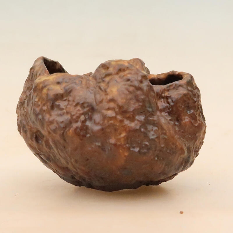 Conchiglia in ceramica 6 x 6 x 8 cm , colore marrone