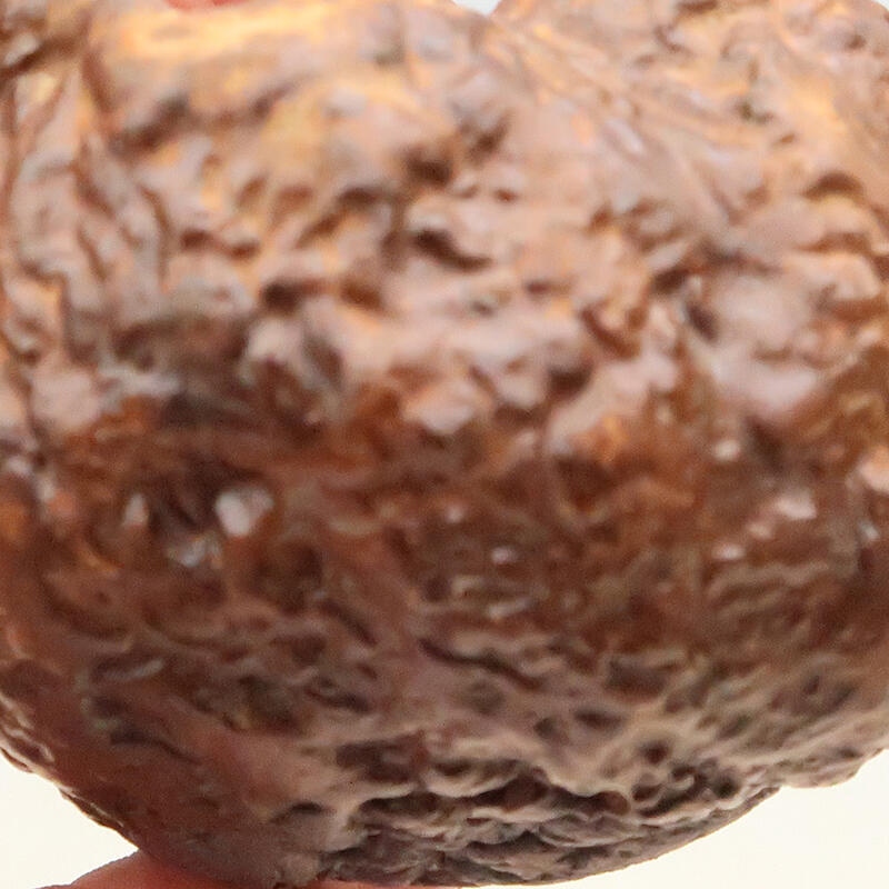 Conchiglia in ceramica 6 x 6 x 8 cm , colore marrone