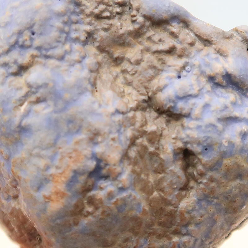 Conchiglia in ceramica 6 x 6 x 9 cm , colore blu