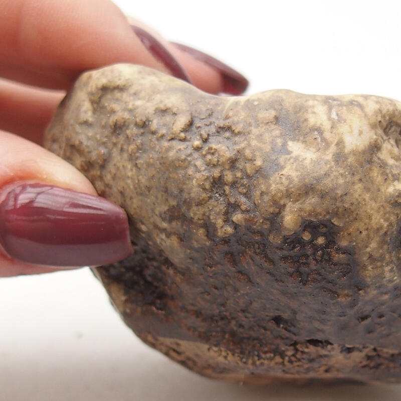 Conchiglia in ceramica 7,5 x 6,5 x 4,5 cm , colore marrone