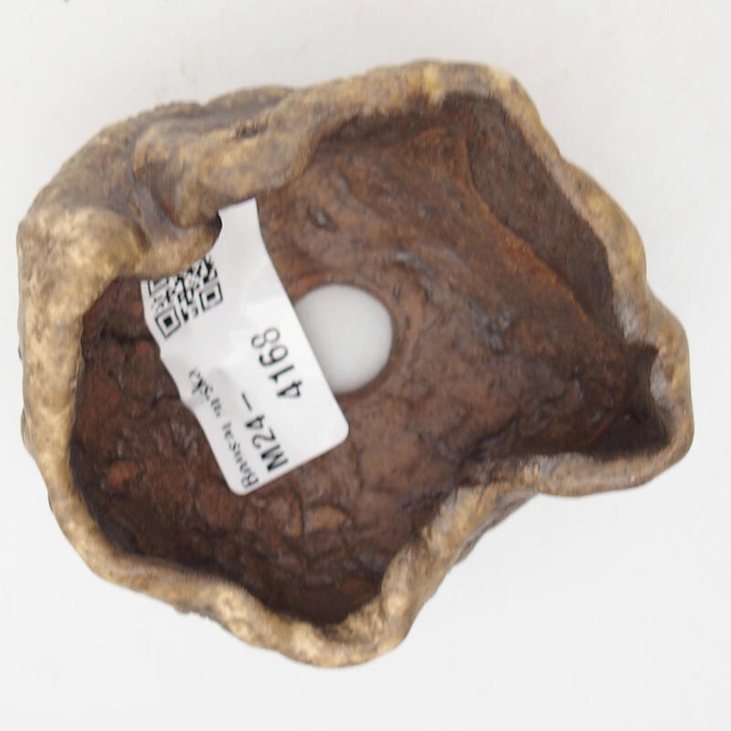 Conchiglia in ceramica 7,5 x 6,5 x 4,5 cm , colore marrone