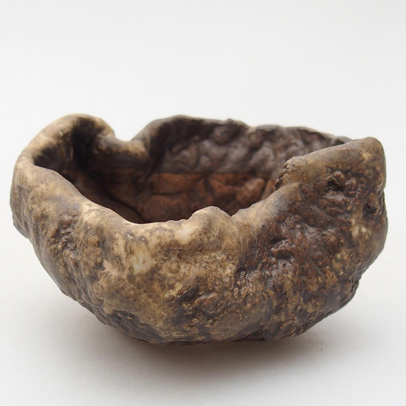 Conchiglia in ceramica 7,5 x 6,5 x 4,5 cm , colore marrone