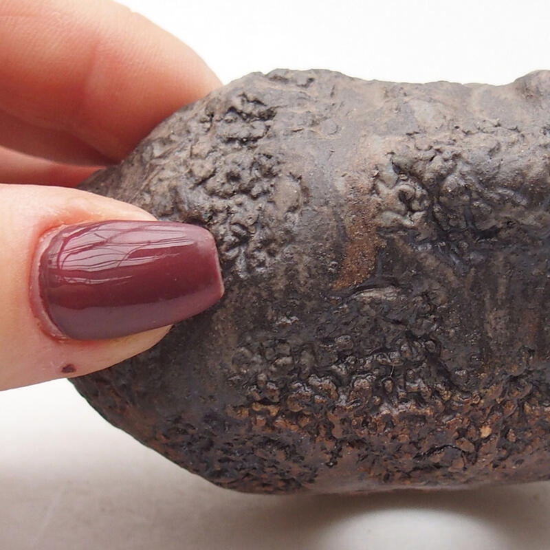 Conchiglia in ceramica 7,5 x 6,5 x 5,5 cm , colore marrone