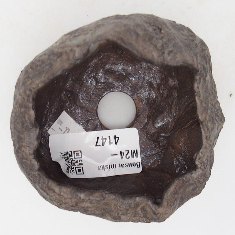 Conchiglia in ceramica 7,5 x 6,5 x 5,5 cm , colore marrone