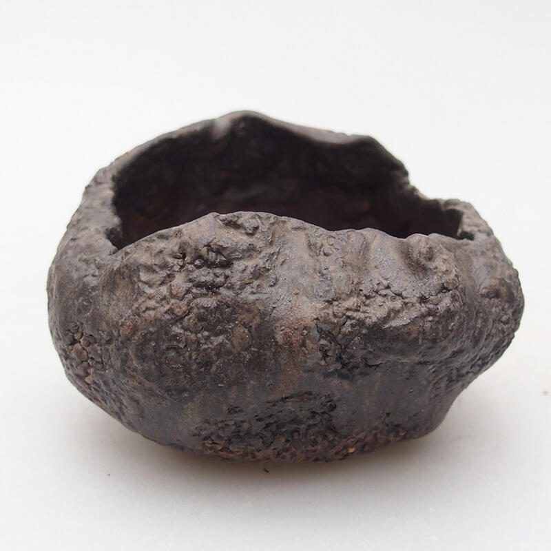 Conchiglia in ceramica 7,5 x 6,5 x 5,5 cm , colore marrone