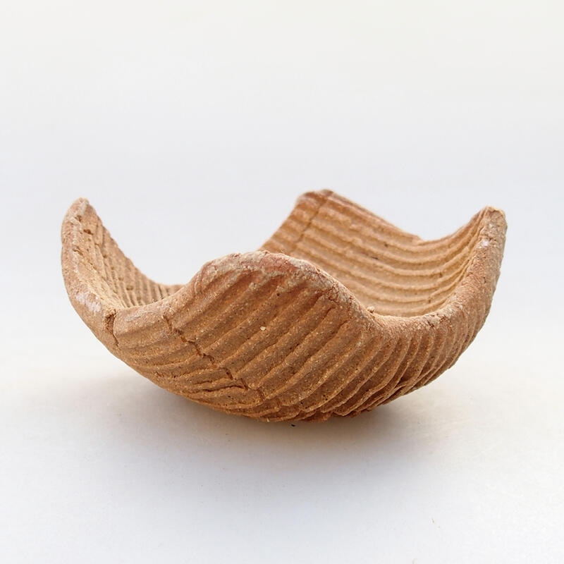 Conchiglia in ceramica 7,5 x 7,5 x 4 cm , colore nero