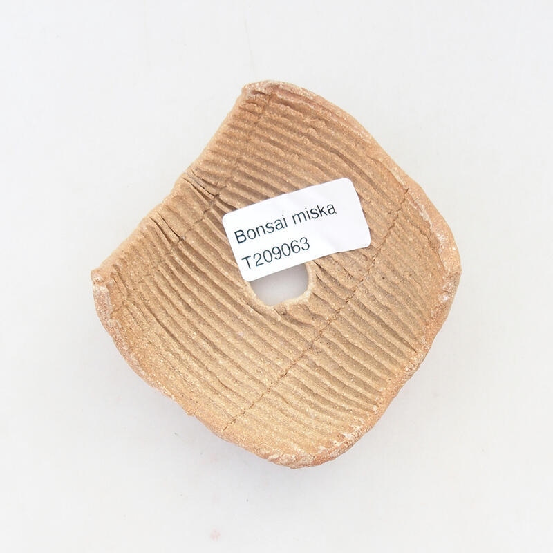 Conchiglia in ceramica 7,5 x 7,5 x 4 cm , colore nero