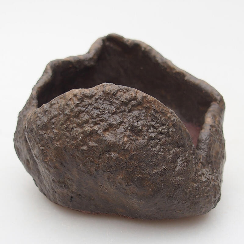 Conchiglia in ceramica 7,5 x 7,5 x 6 cm , colore marrone