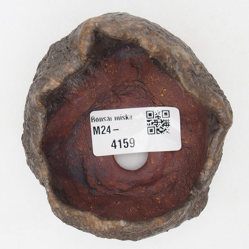 Conchiglia in ceramica 7,5 x 7,5 x 6 cm , colore marrone