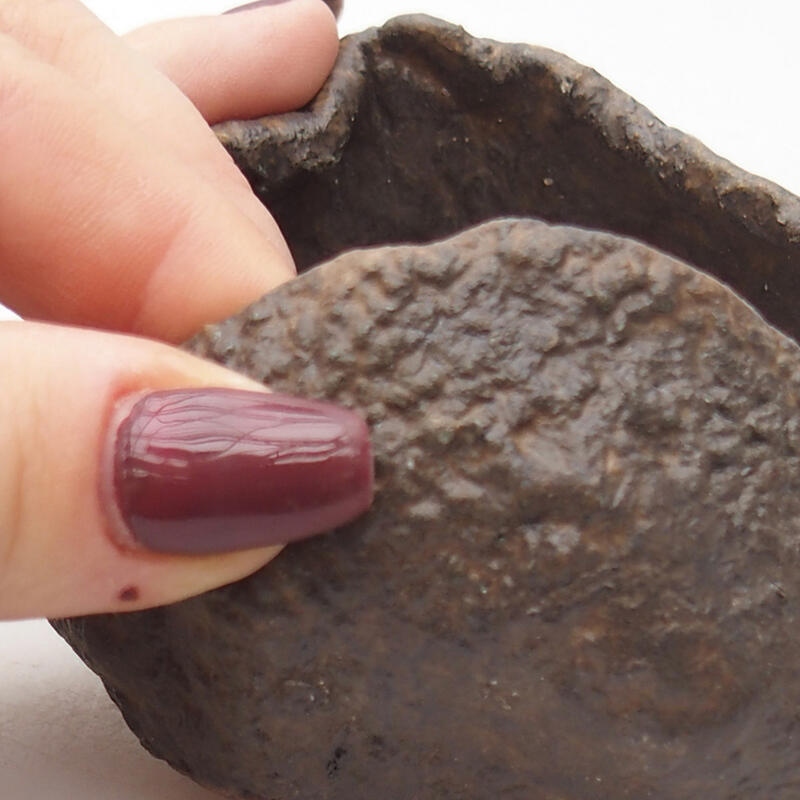 Conchiglia in ceramica 7,5 x 7,5 x 6 cm , colore marrone