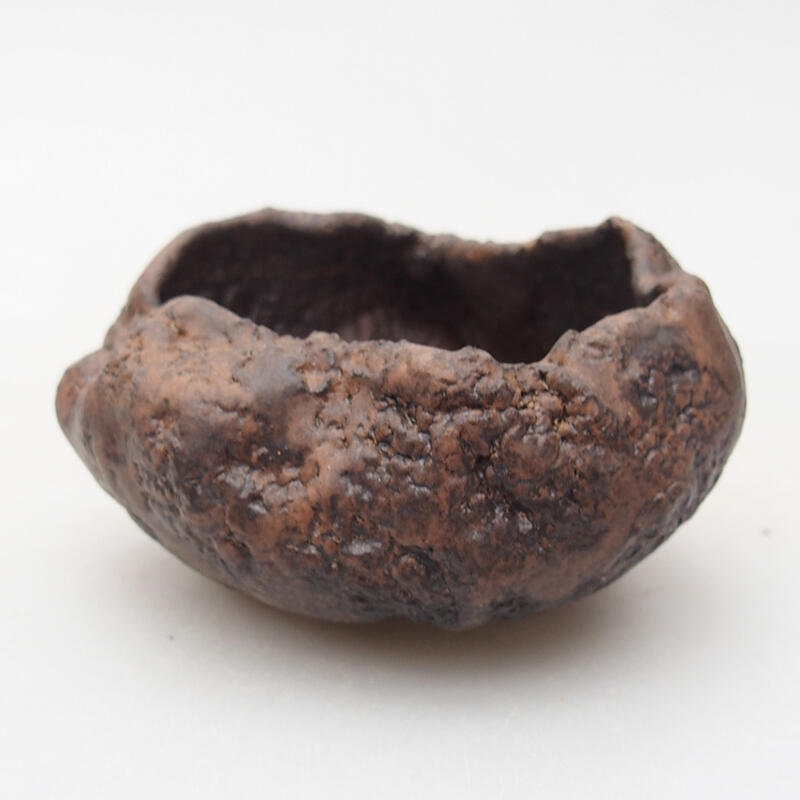 Conchiglia in ceramica 7,5 x 7 x 4,5 cm , colore marrone