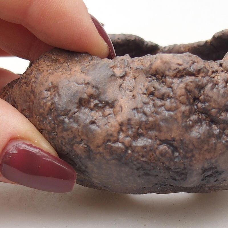 Conchiglia in ceramica 7,5 x 7 x 4,5 cm , colore marrone