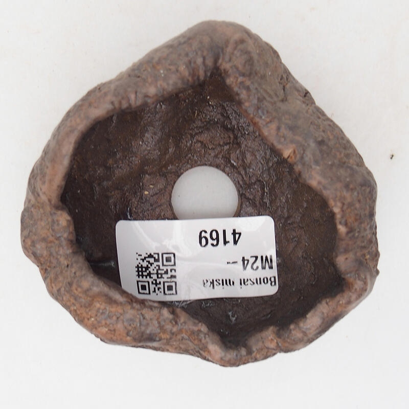 Conchiglia in ceramica 7,5 x 7 x 4,5 cm , colore marrone