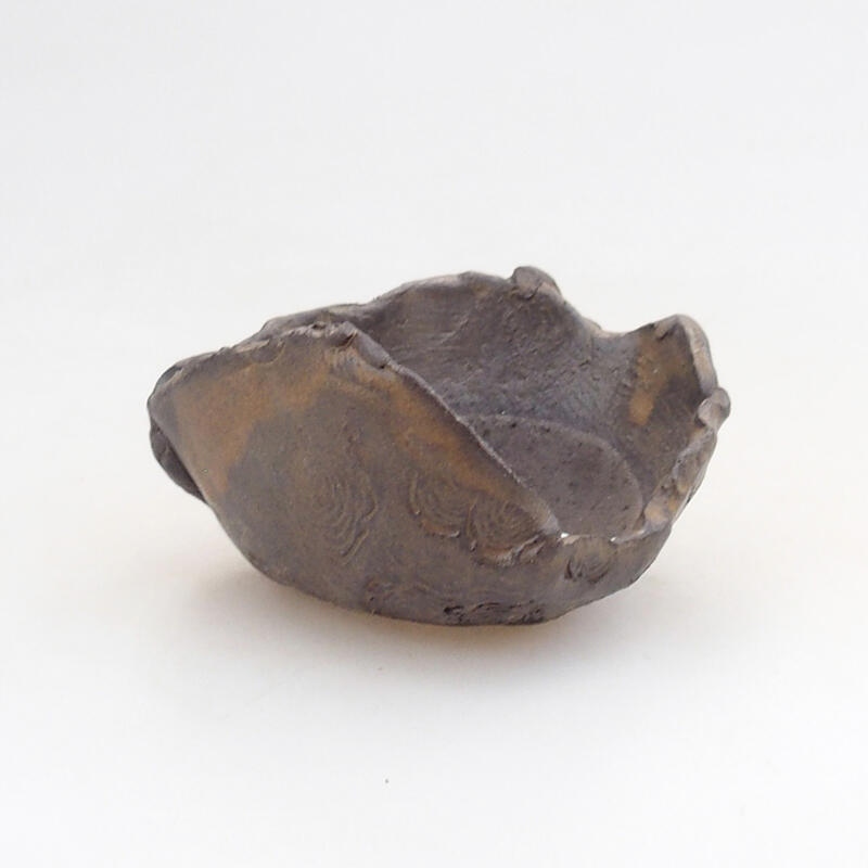Conchiglia in ceramica 7,5 x 7 x 5 cm , colore marrone