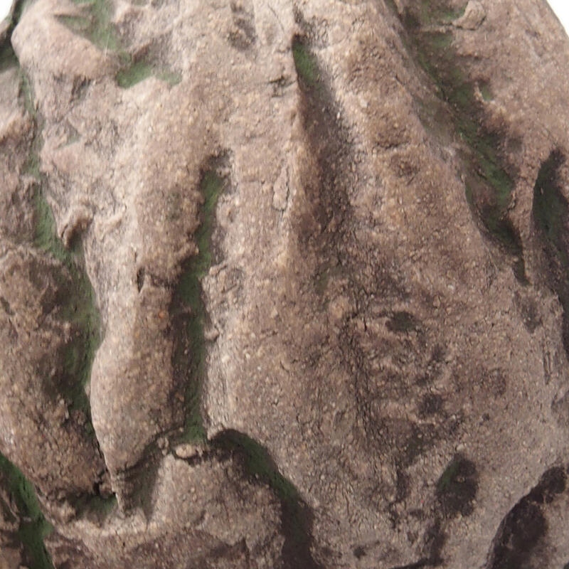 Conchiglia in ceramica 7,5 x 7 x 5 cm , colore verde