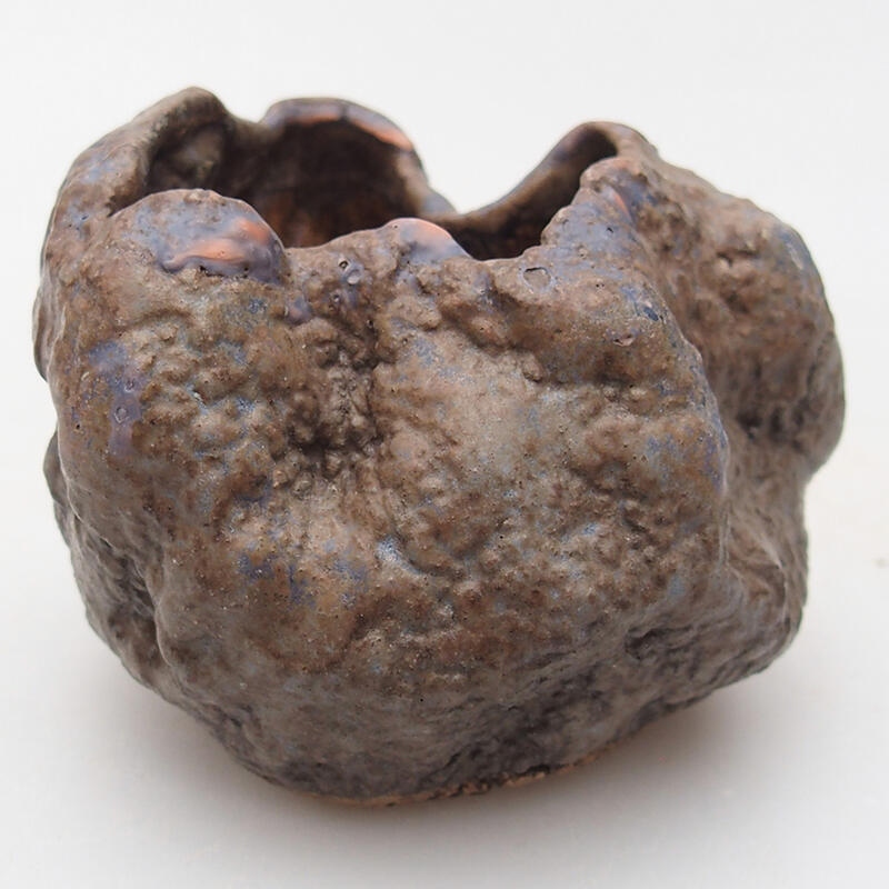 Conchiglia in ceramica 7 x 4,5 x 6 cm , colore marrone