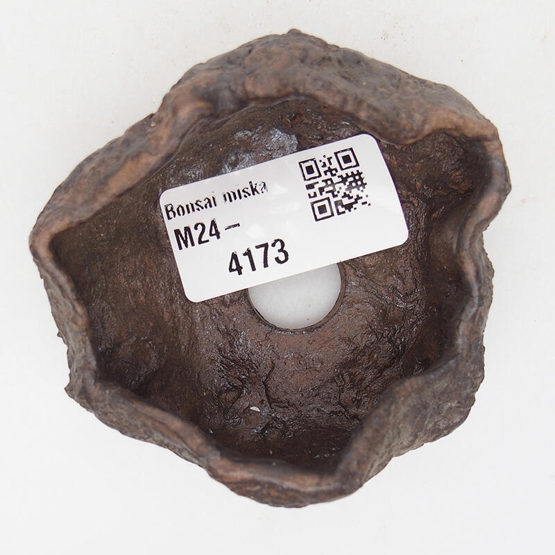 Conchiglia in ceramica 7 x 6,5 x 4 cm , colore marrone