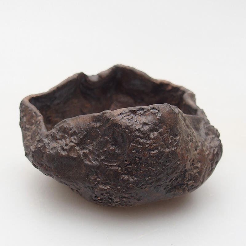 Conchiglia in ceramica 7 x 6,5 x 4 cm , colore marrone