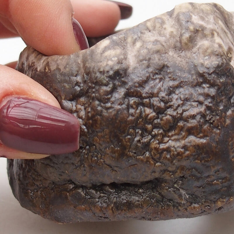 Conchiglia in ceramica 7 x 6,5 x 4 cm , colore marrone