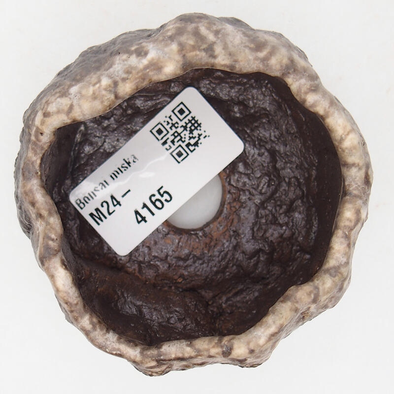 Conchiglia in ceramica 7 x 6,5 x 4 cm , colore marrone