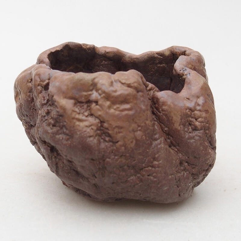 Conchiglia in ceramica 7 x 6,5 x 5,5 cm , colore marrone