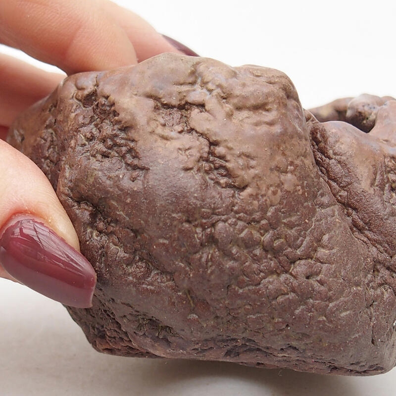 Conchiglia in ceramica 7 x 6,5 x 5,5 cm , colore marrone