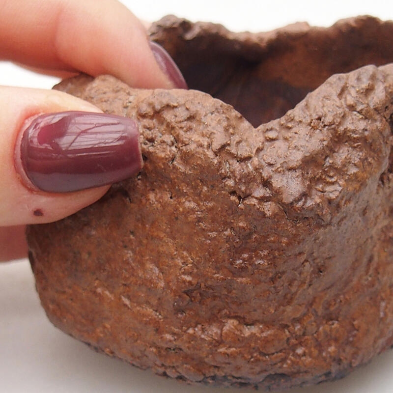 Conchiglia in ceramica 7 x 6,5 x 5,5 cm , colore marrone