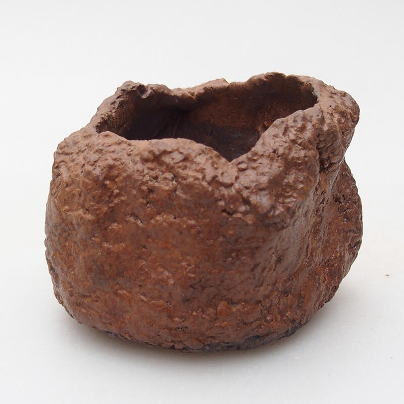 Conchiglia in ceramica 7 x 6,5 x 5,5 cm , colore marrone