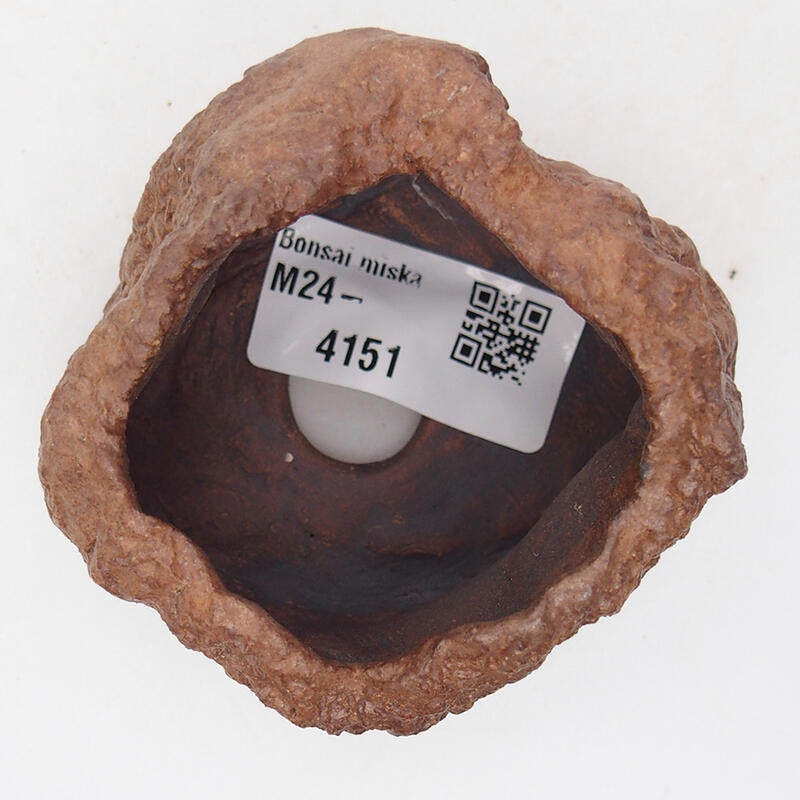 Conchiglia in ceramica 7 x 6,5 x 5,5 cm , colore marrone