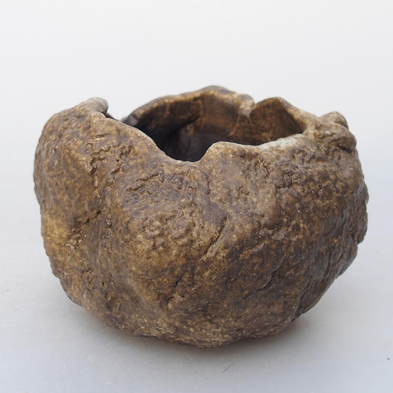 Conchiglia in ceramica 7 x 6 x 5,5 cm , colore beige