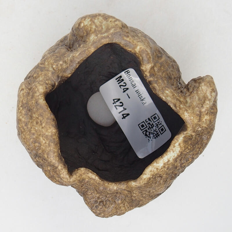 Conchiglia in ceramica 7 x 6 x 5,5 cm , colore beige