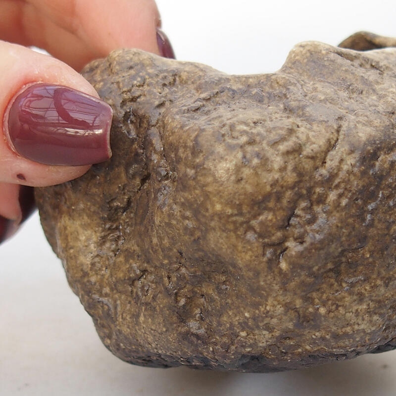 Conchiglia in ceramica 7 x 6 x 5,5 cm , colore beige