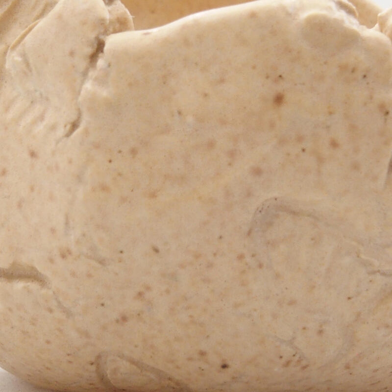 Conchiglia in ceramica 7 x 6 x 6 cm , colore beige