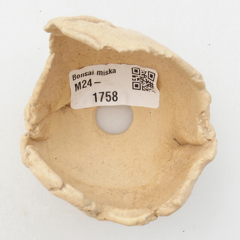 Conchiglia in ceramica 7 x 6 x 6 cm , colore beige