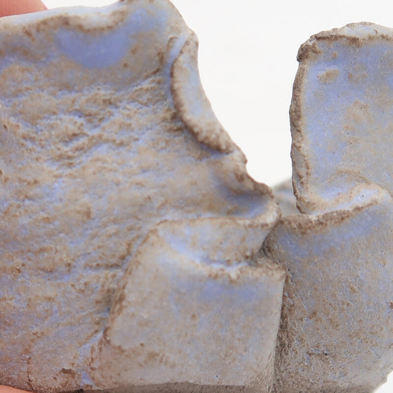 Conchiglia in ceramica 7 x 7 x 4 cm , colore blu