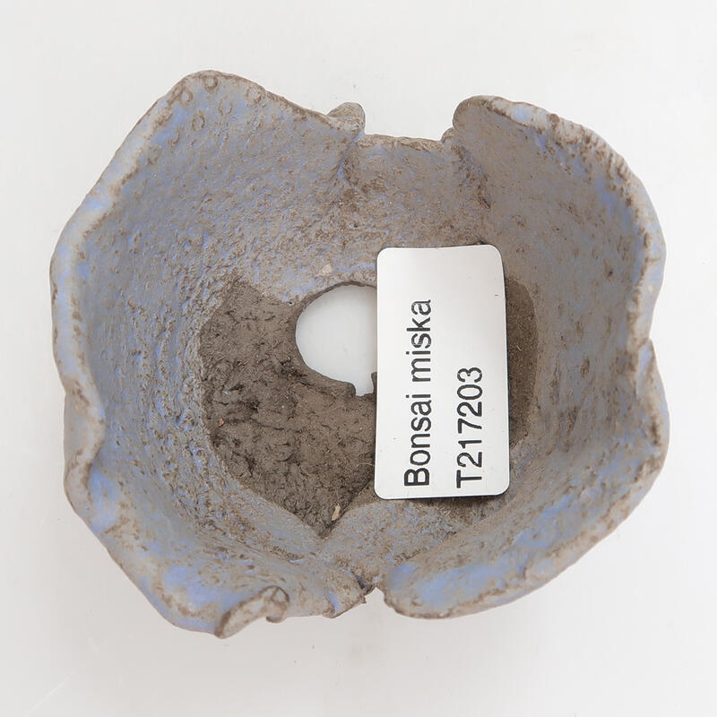 Conchiglia in ceramica 7 x 7 x 4 cm , colore blu