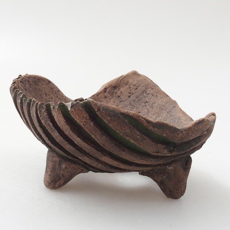 Conchiglia in ceramica 7 x 7 x 4 cm , colore verde
