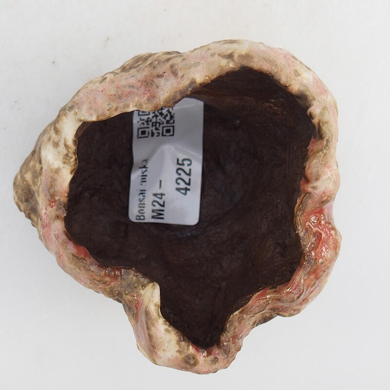 Conchiglia in ceramica 7 x 7 x 5,5 cm , colore rosa