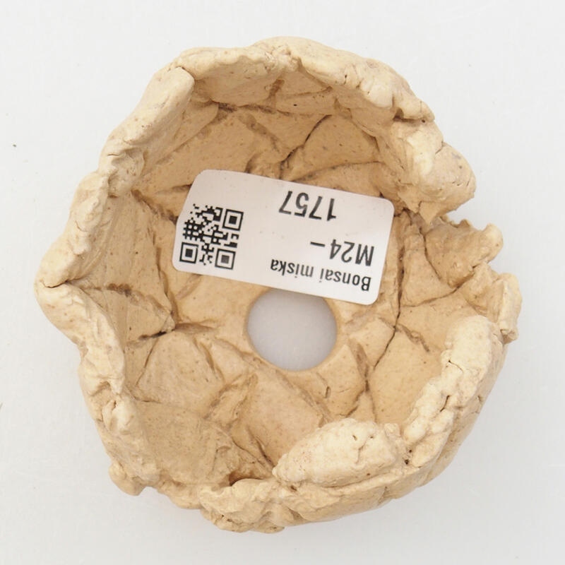 Conchiglia in ceramica 7 x 7 x 5 cm , colore beige