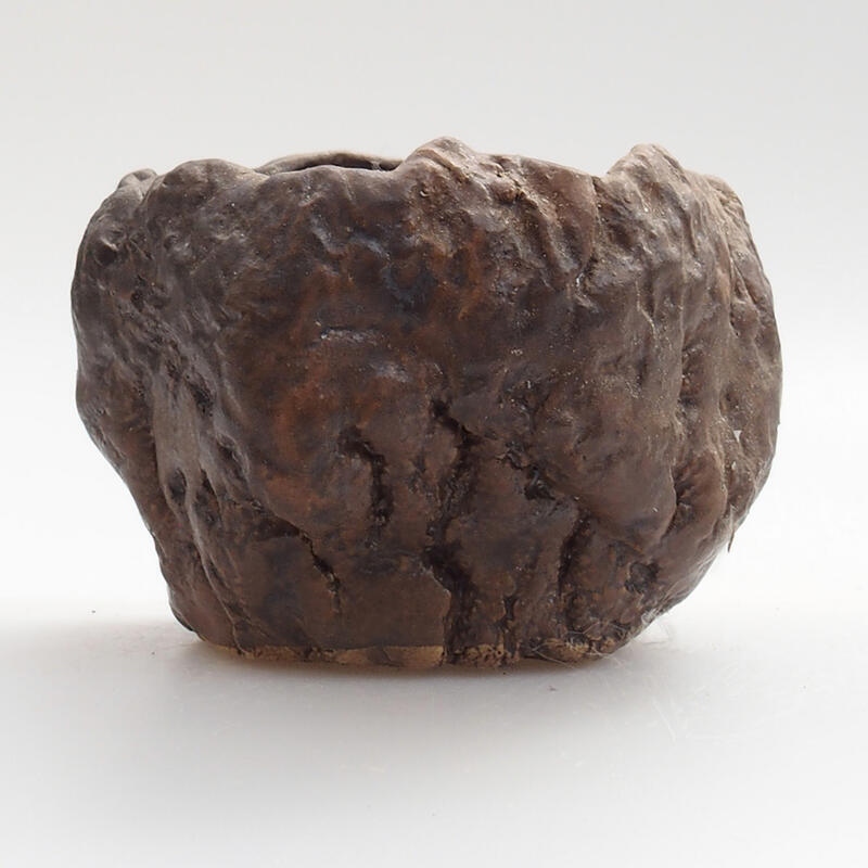 Conchiglia in ceramica 7 x 7 x 6 cm , colore verde-marrone