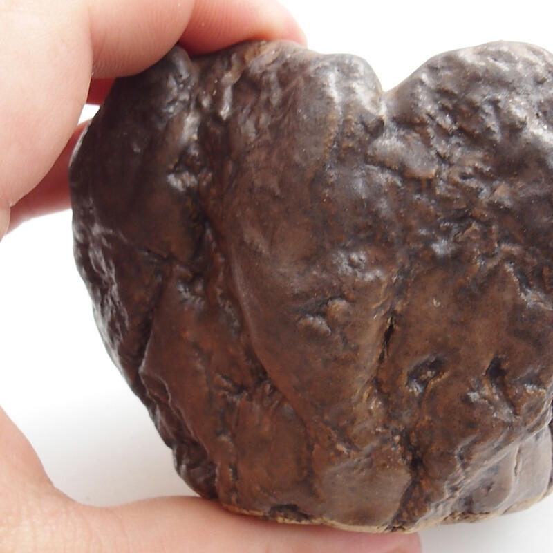 Conchiglia in ceramica 7 x 7 x 6 cm , colore verde-marrone