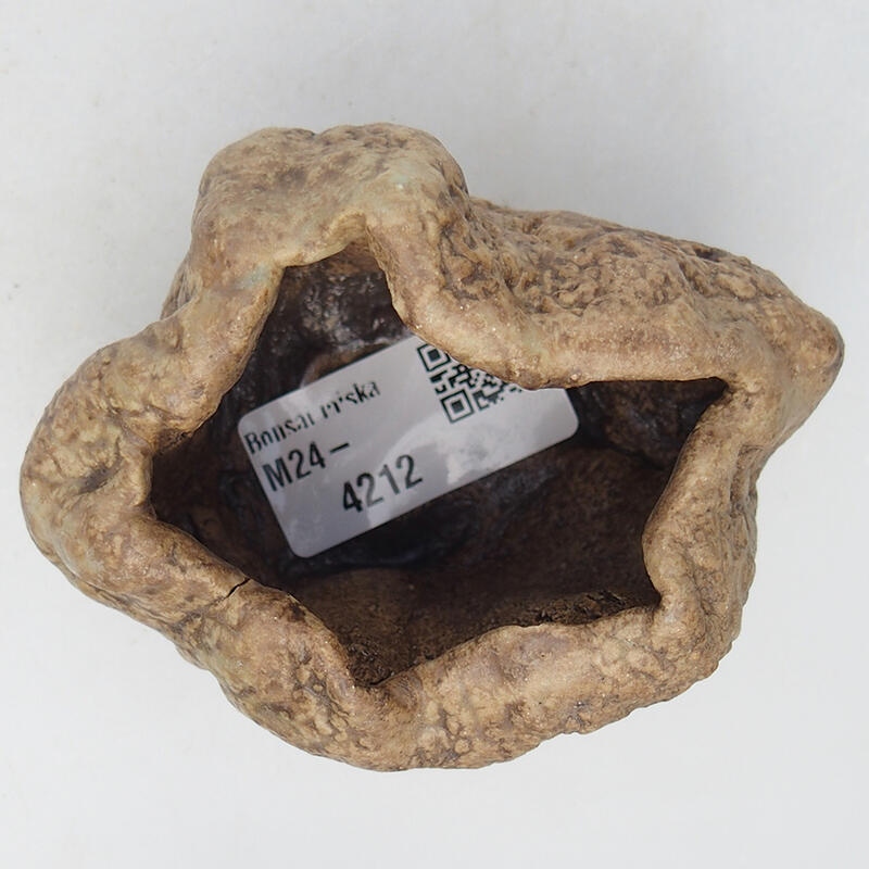 Conchiglia in ceramica 8,5 x 6,5 x 6 cm , colore beige